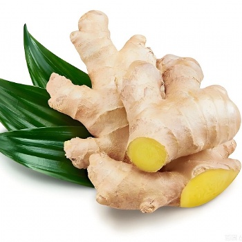 fresh ginger